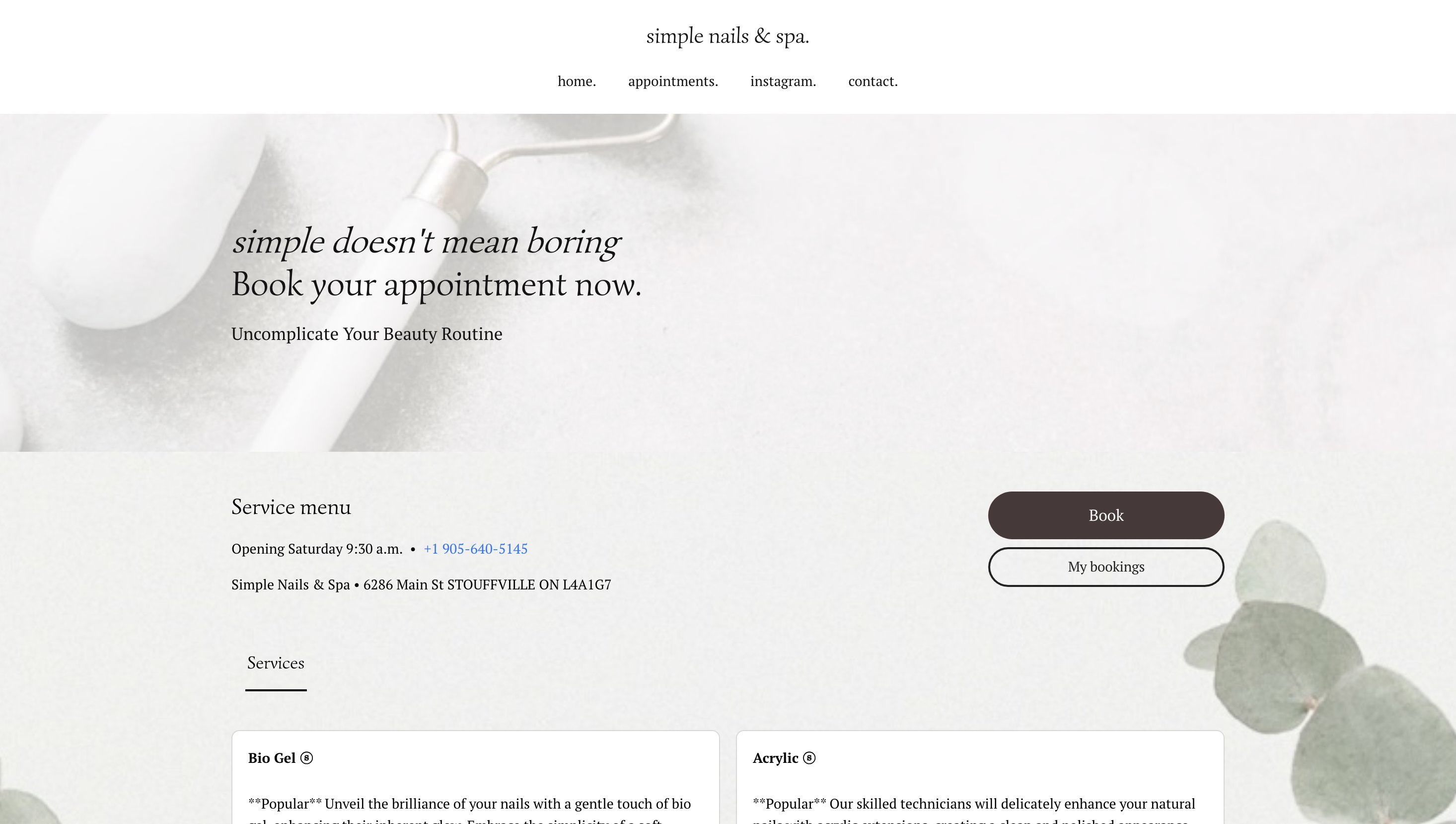 Before — Simple Nails appointments page with service menu